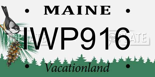 IWP916 Maine License Plate