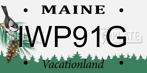 IWP91G Maine License Plate