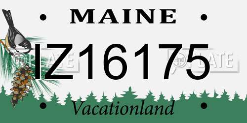 IZ16175 Maine License Plate