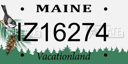IZ16274 Maine License Plate