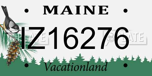 IZ16276 Maine License Plate