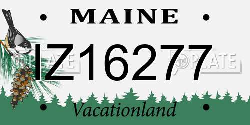 IZ16277 Maine License Plate