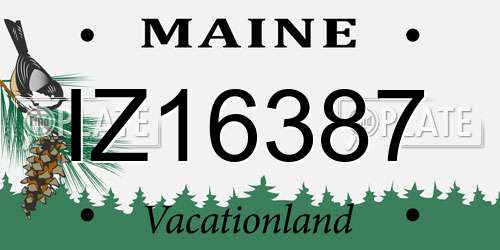 IZ16387 Maine License Plate