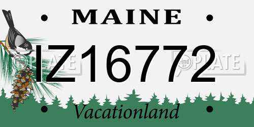 IZ16772 Maine License Plate