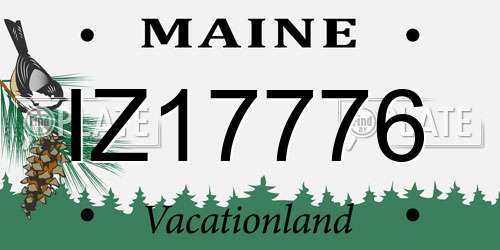 IZ17776 Maine License Plate