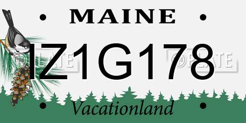 IZ1G178 Maine License Plate