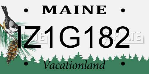 IZ1G182 Maine License Plate