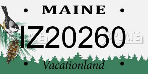 IZ20260 Maine License Plate