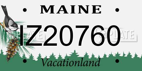 IZ20760 Maine License Plate
