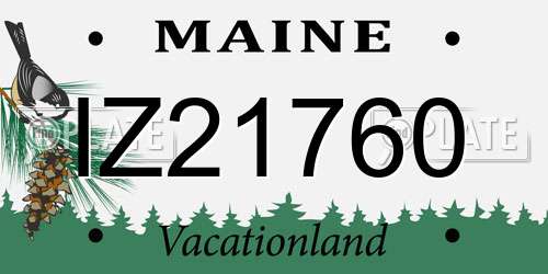IZ21760 Maine License Plate