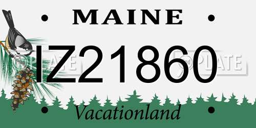 IZ21860 Maine License Plate