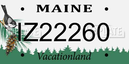 IZ22260 Maine License Plate