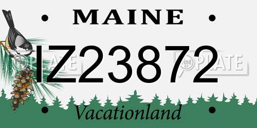 IZ23872 Maine License Plate