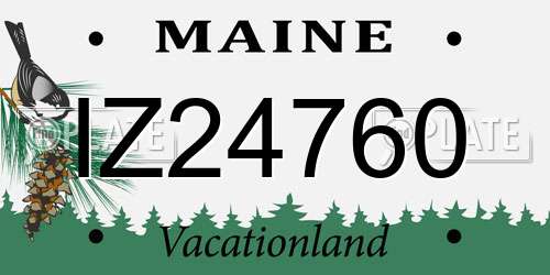 IZ24760 Maine License Plate