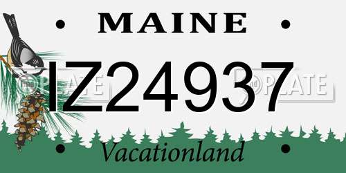 IZ24937 Maine License Plate