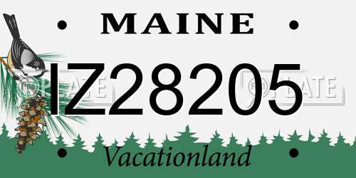 IZ28205 Maine License Plate