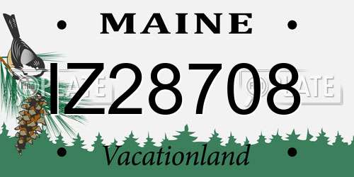 IZ28708 Maine License Plate