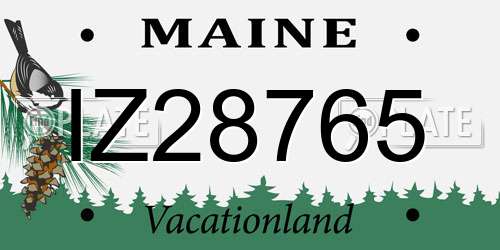 IZ28765 Maine License Plate