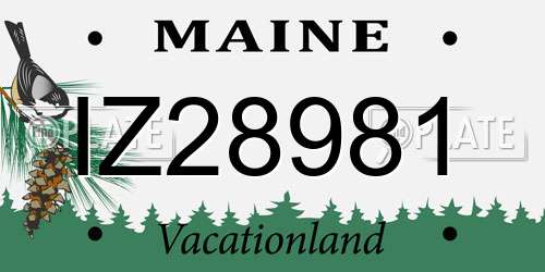 IZ28981 Maine License Plate
