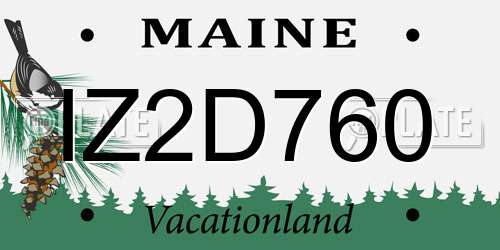 IZ2D760 Maine License Plate