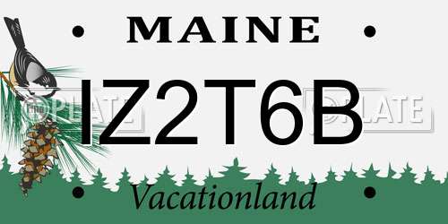 IZ2T6B Maine License Plate