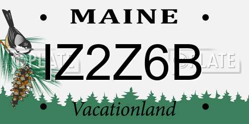 IZ2Z6B Maine License Plate