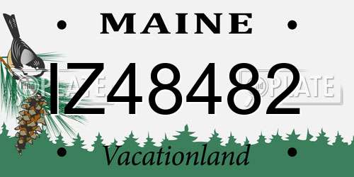 IZ48482 Maine License Plate