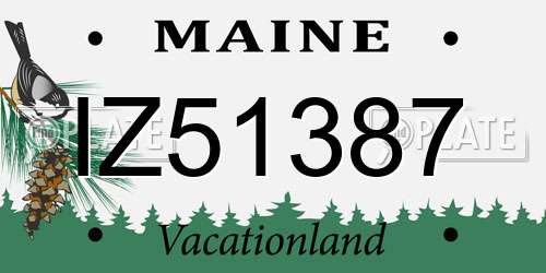 IZ51387 Maine License Plate