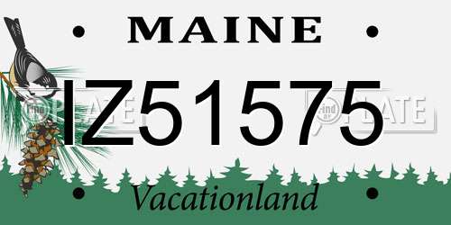 IZ51575 Maine License Plate