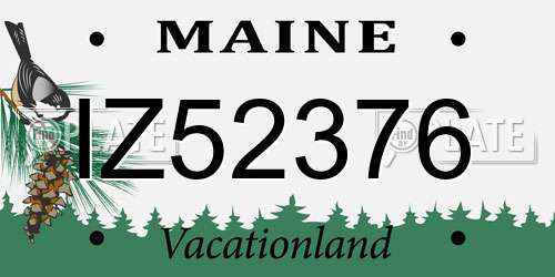 IZ52376 Maine License Plate