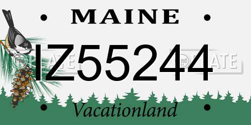 IZ55244 Maine License Plate