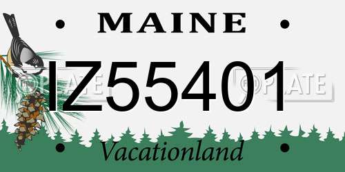 IZ55401 Maine License Plate