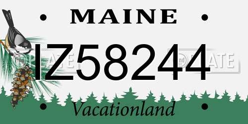 IZ58244 Maine License Plate