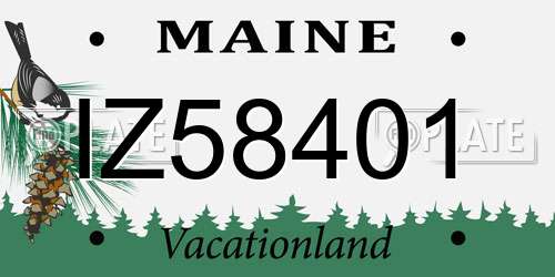 IZ58401 Maine License Plate