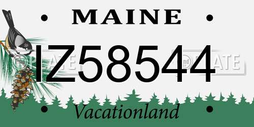 IZ58544 Maine License Plate