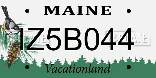 IZ5B044 Maine License Plate