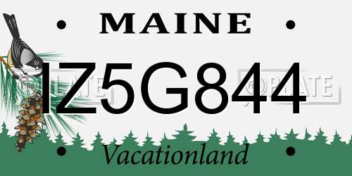 IZ5G844 Maine License Plate