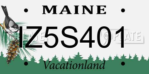 IZ5S401 Maine License Plate