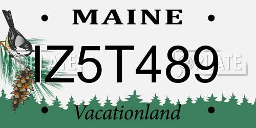 IZ5T489 Maine License Plate