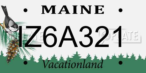 IZ6A321 Maine License Plate