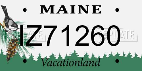 IZ71260 Maine License Plate