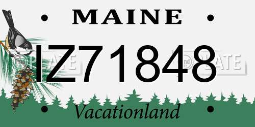 IZ71848 Maine License Plate