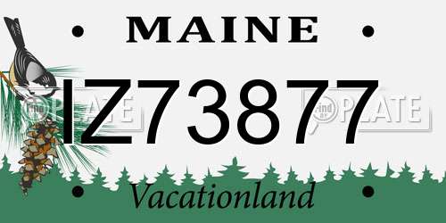 IZ73877 Maine License Plate