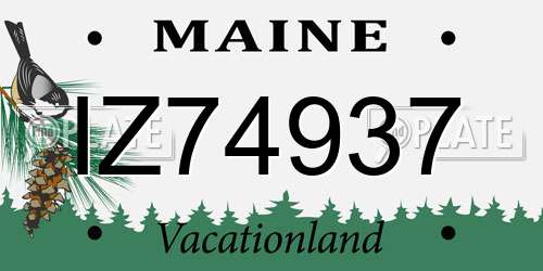 IZ74937 Maine License Plate