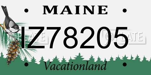 IZ78205 Maine License Plate