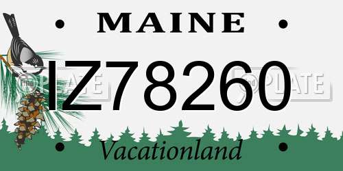 IZ78260 Maine License Plate