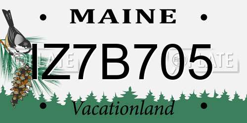 IZ7B705 Maine License Plate