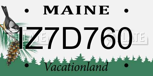 IZ7D760 Maine License Plate