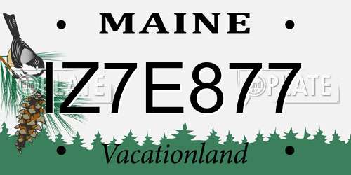 IZ7E877 Maine License Plate
