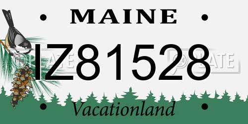 IZ81528 Maine License Plate